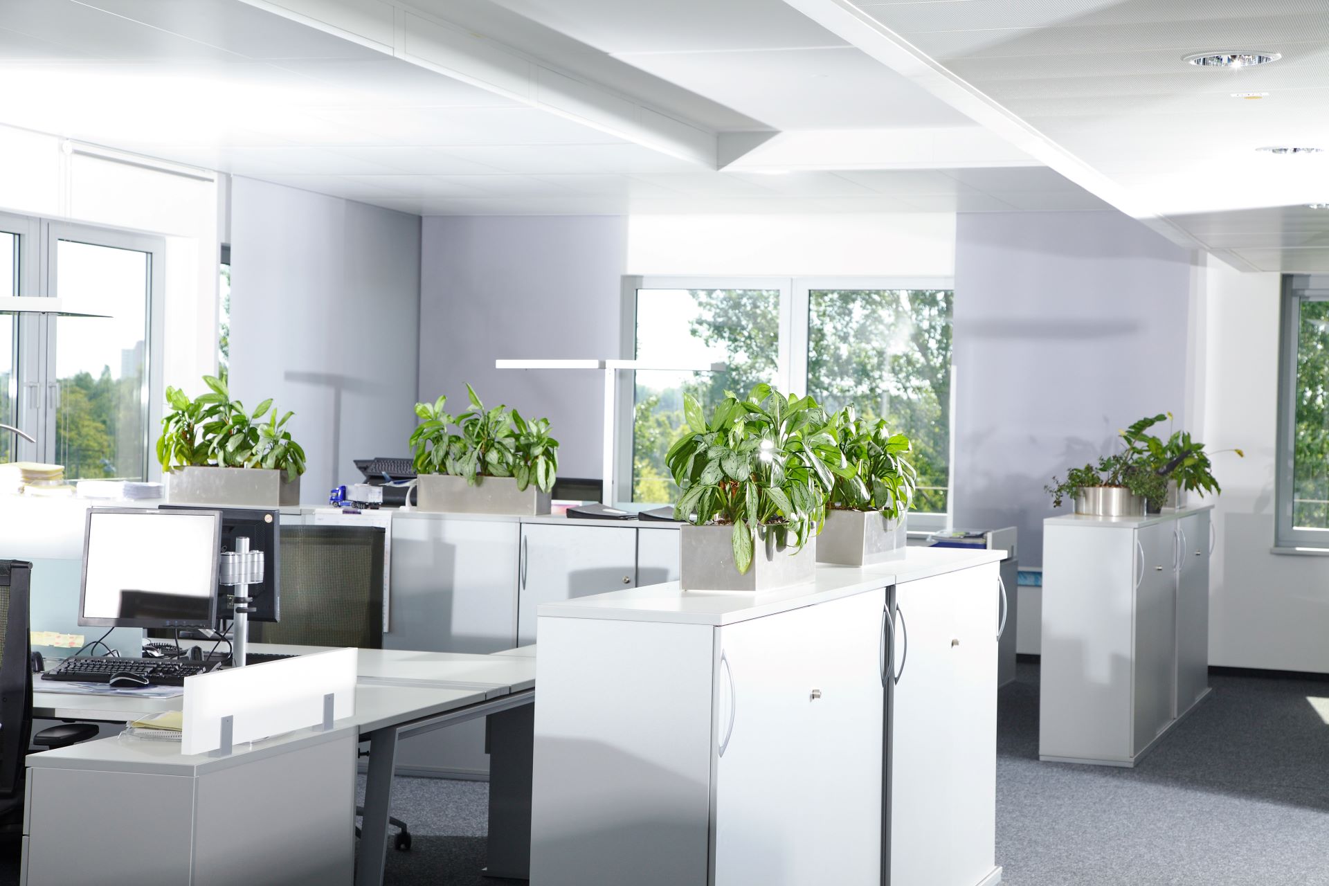 Resume Writing Services Pipitea NZ